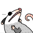 sleepy-possum-king avatar