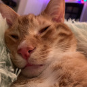 sleepy-quaintrelle avatar