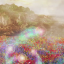 sleepy-seahorse avatar