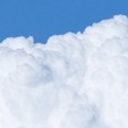 sleepy-sprout avatar