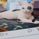 sleepy-writingandthings avatar