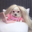 sleepybitchenergy avatar