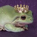 sleepybraindump avatar