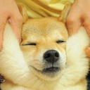 sleepyeyedbitch avatar