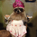 sleepyinternetenthusiast avatar