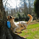 sleepyjoey0607 avatar