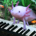 sleepypianist avatar