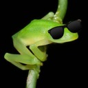 sleepysandwitch avatar