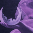 sleepyseaopposum avatar