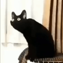 sleepyserapha avatar