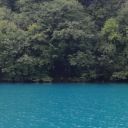 sleepyseven77 avatar