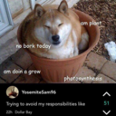 sleepyshadowcat avatar