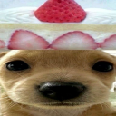 sleepystrawbii avatar