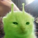 sleepysubbyslime avatar