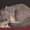 sleepytabby avatar