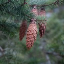 sleepytimewhumpprompts avatar