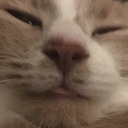 sleepywes avatar