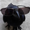 sleightoffeather avatar