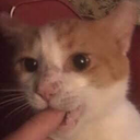 slendermanmpreg avatar