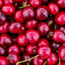 slenderofspades avatar