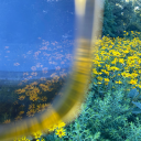 sliced-peaches avatar