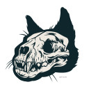 slighlyconfused avatar