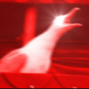 slightly-above-average-potato avatar