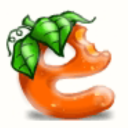 slightly-nibbled-orange-e avatar