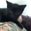 slightly-strange-girl avatar