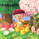 slightlyexpiredbees avatar