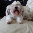 slightlymorepunkrockthanyou avatar