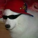 slightlynotstonedenough avatar