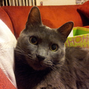 slightlywarped avatar