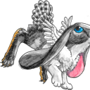 slightlywinged avatar