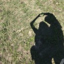 slim-shady-is-crazy avatar