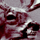 slimephuck avatar