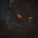 slimewhatevez avatar