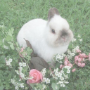 slimeybunny avatar