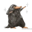 slimeys-stuff avatar