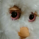 slimyfurbies avatar