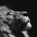 slipint0reverie avatar