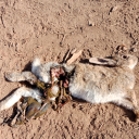 slipnslideindustrialaccident avatar