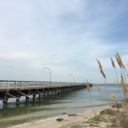 slippingsideways avatar