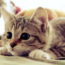 slithered-here-from-eden avatar