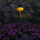 sloppysleepysoul avatar