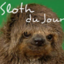 slothdujour-blog avatar