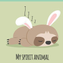 slothful-rabbit avatar