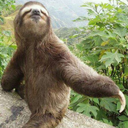 slothmaster101 avatar