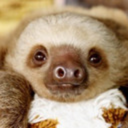 slothquisitor avatar