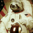 sloths-and-armadillos avatar